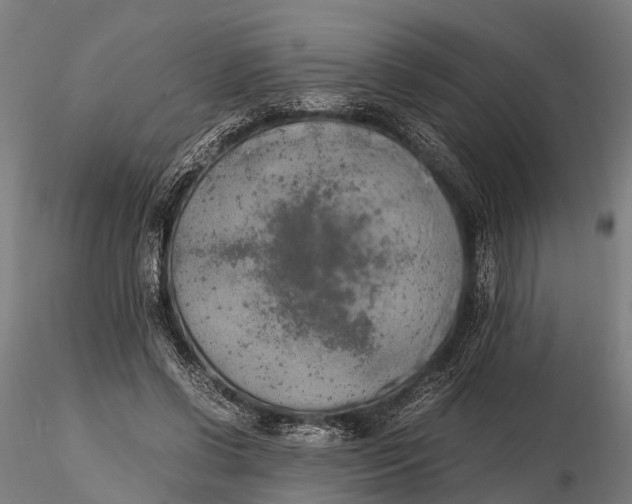 X0000115660542200912031335