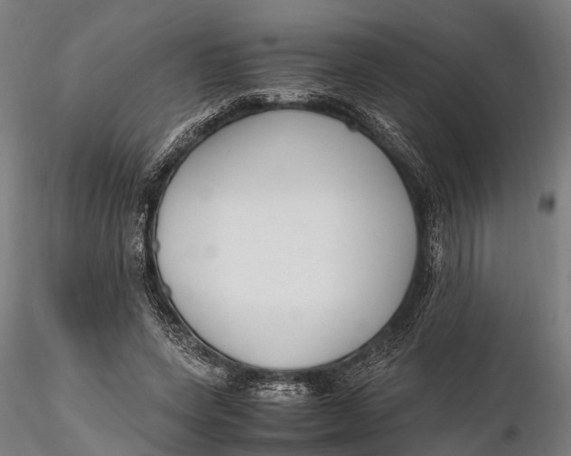 X0000115660543200912031335