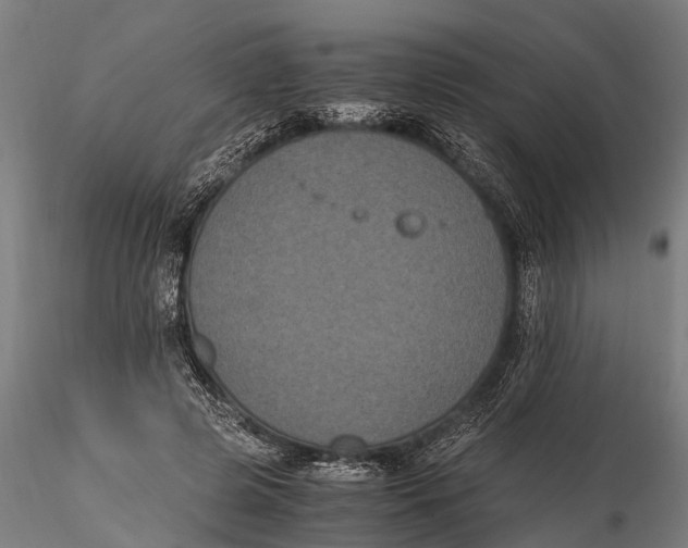 X0000115660545200912031335