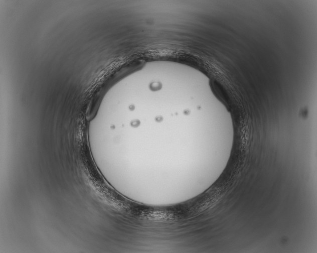 X0000115660546200912031335