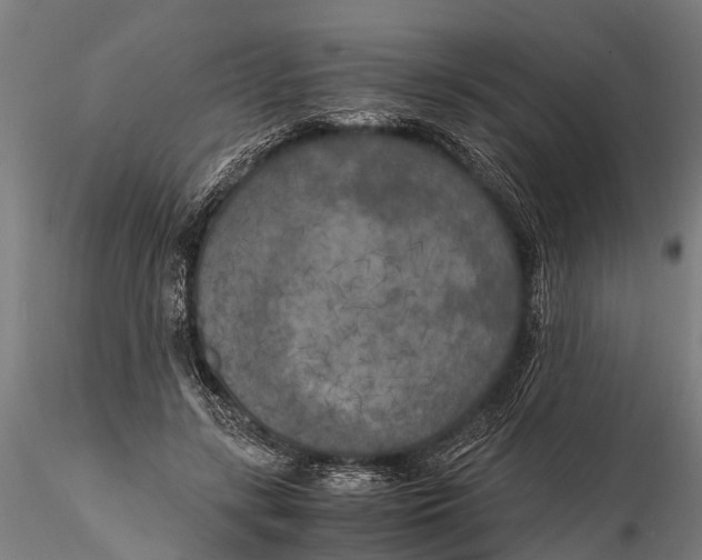 X0000115660547200912031335