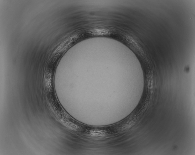 X0000115660549200912031335