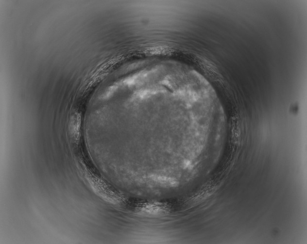 X0000115660550200912031335