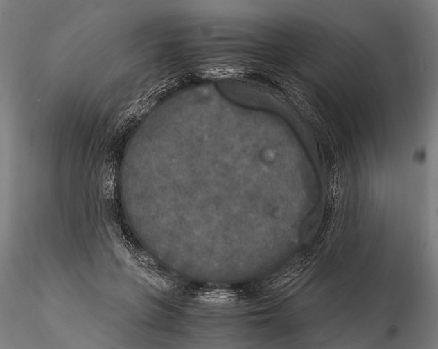 X0000115660551200912031335