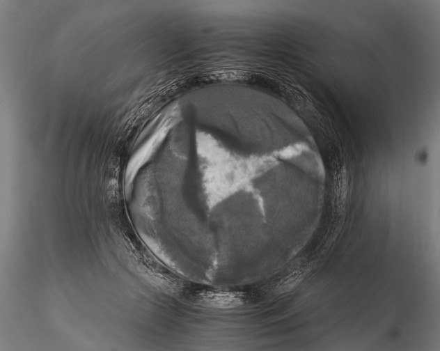 X0000115660553200912031335