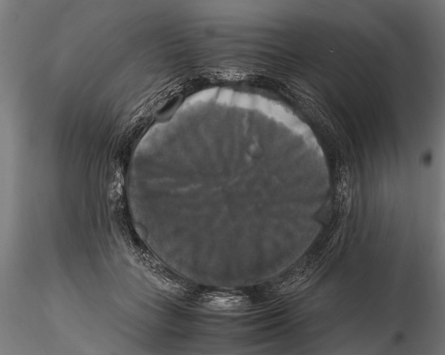 X0000115660555200912031335