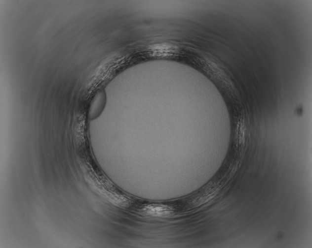 X0000115660557200912031335