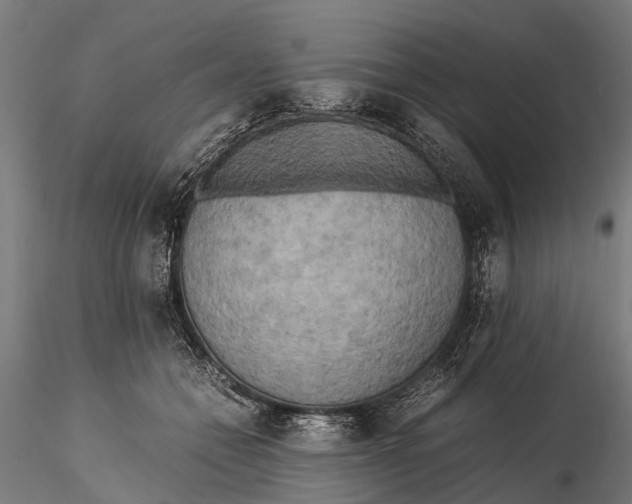 X0000115660558200912031335