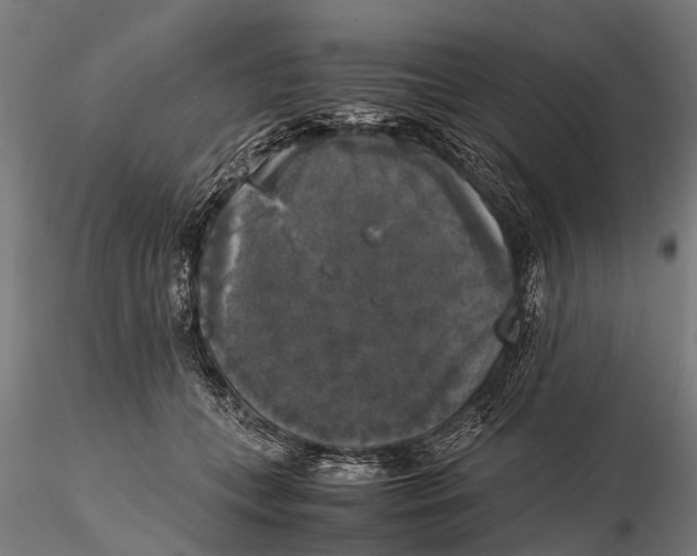 X0000115660559200912031335