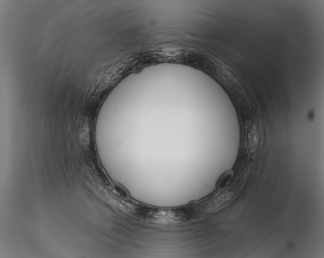 X0000115660562200912031335