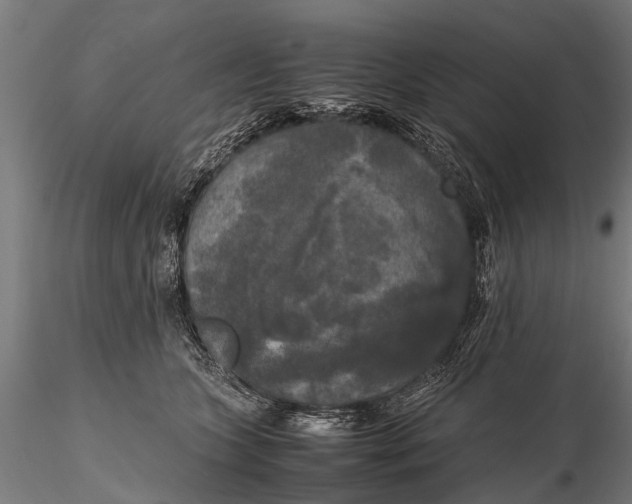 X0000115660563200912031335