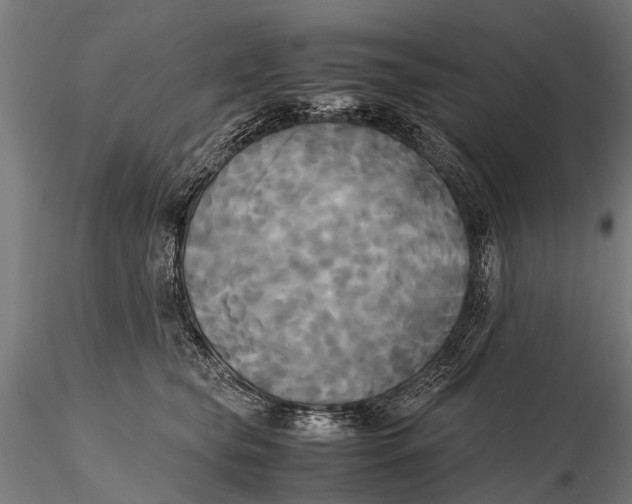 X0000115660565200912031335