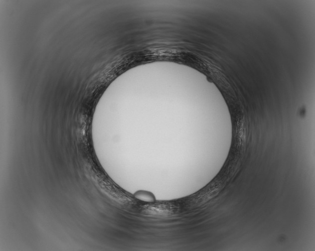 X0000115660567200912031335