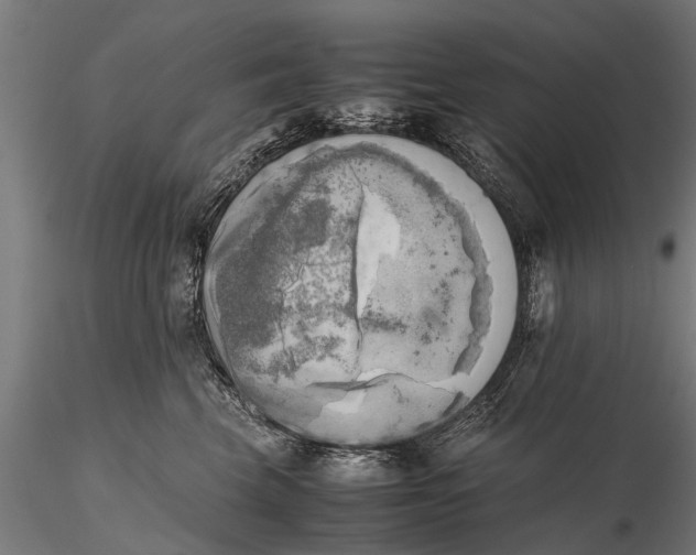 X0000115660569200912031335