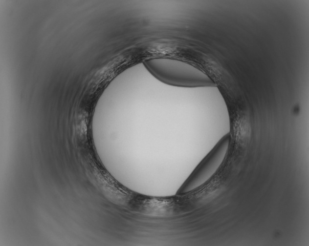 X0000115660570200912031335