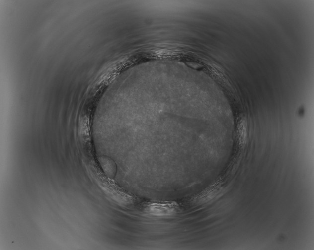 X0000115660571200912031335