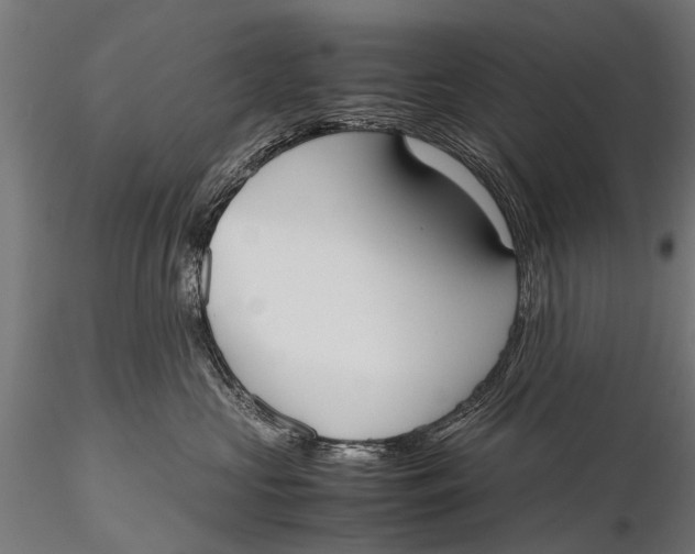 X0000115660573200912031335