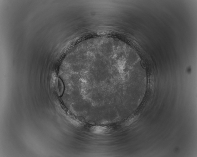 X0000115660575200912031335