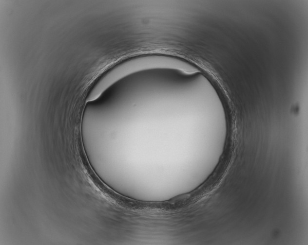 X0000115660577200912031335