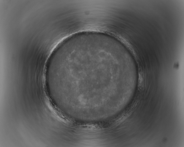 X0000115660580200912031334