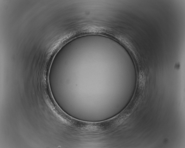 X0000115660581200912031334