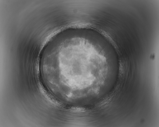 X0000115660582200912031334