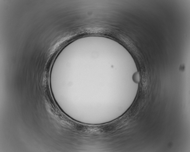 X0000115660583200912031334