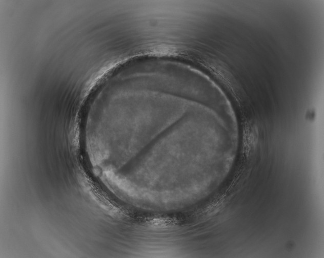 X0000115660584200912031334