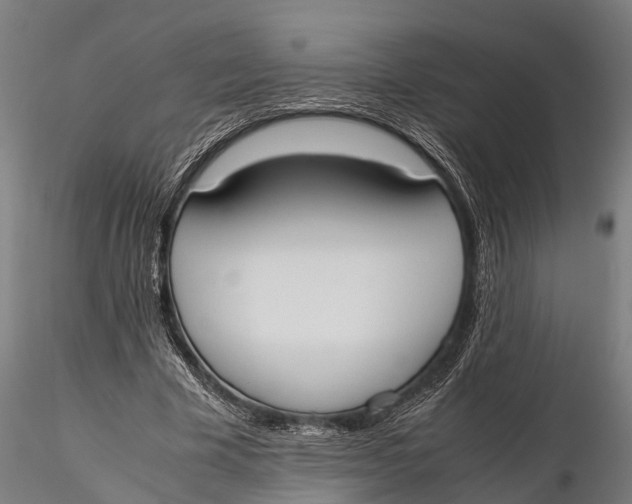 X0000115660585200912031334