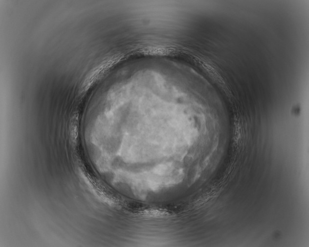 X0000115660586200912031334