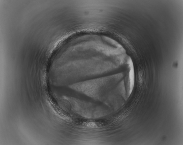 X0000115660588200912031334