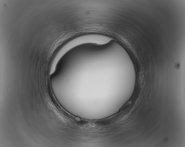 X0000115660589200912031334