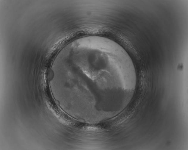 X0000115660590200912031334