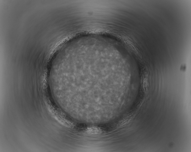 X0000115660591200912031334