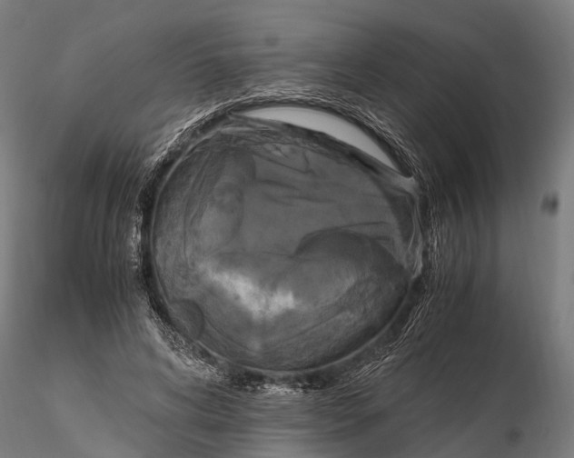 X0000115660592200912031334