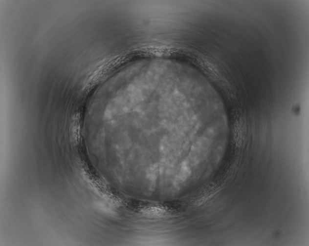 X0000115660594200912031334