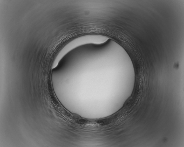 X0000115660595200912031334