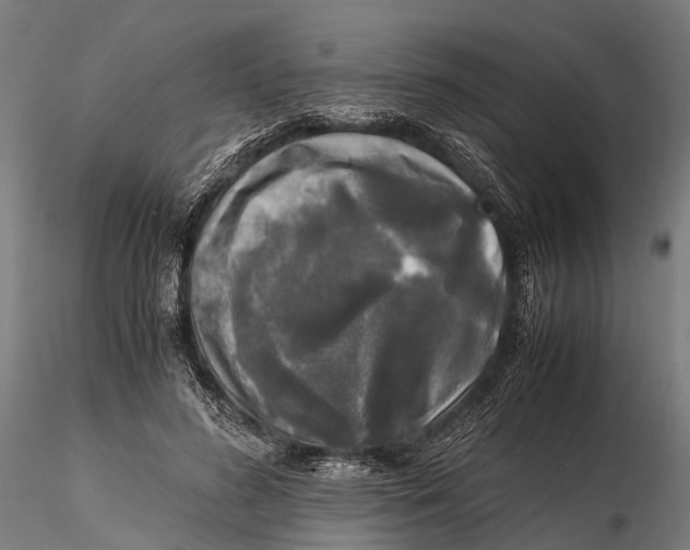 X0000115660596200912031334