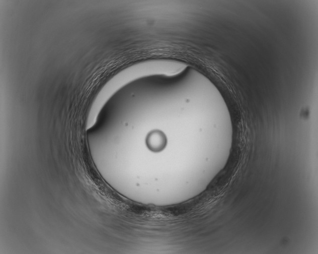 X0000115660597200912031334