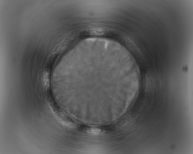 X0000115660598200912031334