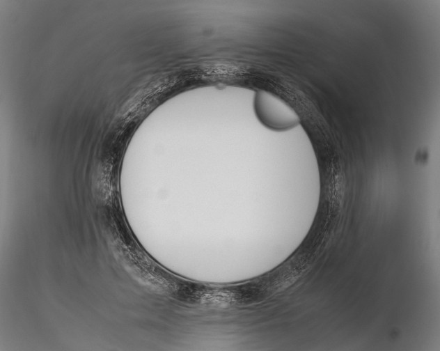 X0000115660599200912031334