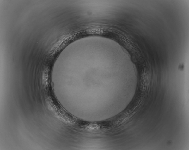 X0000115660600200912031334