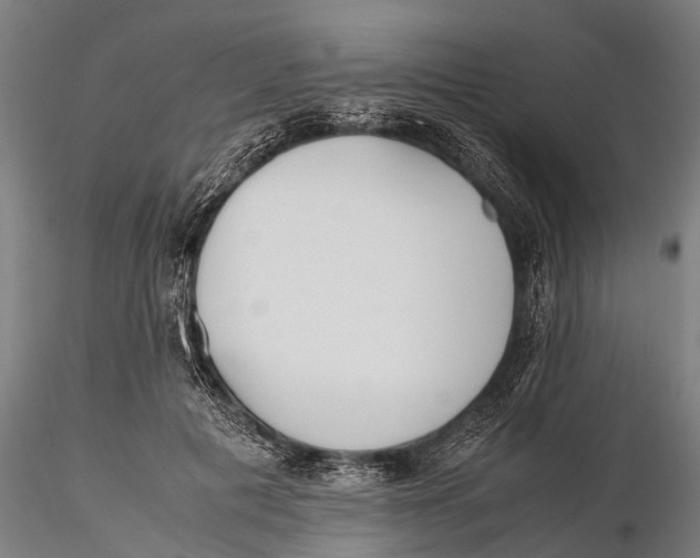 X0000115660601200912031334