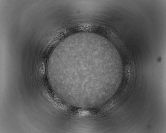 X0000115660602200912031334