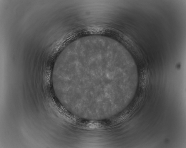 X0000115660604200912031334