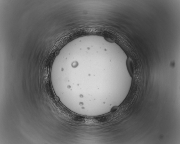 X0000115660605200912031334