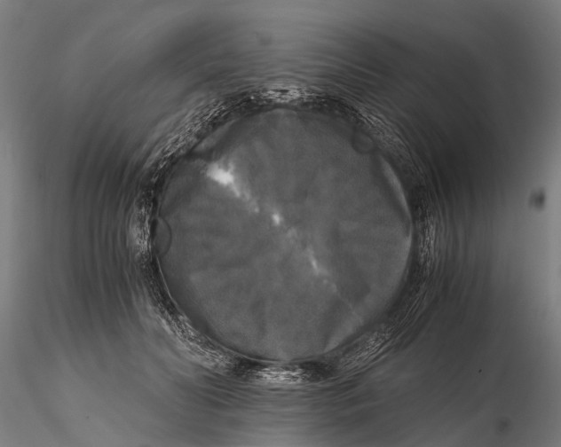 X0000115660606200912031334