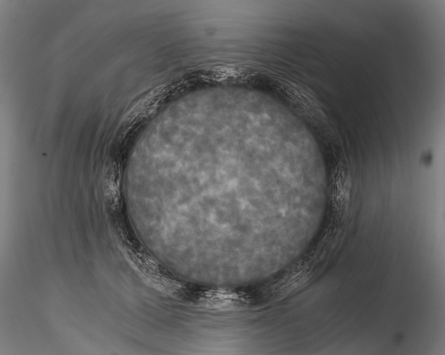 X0000115660607200912031334