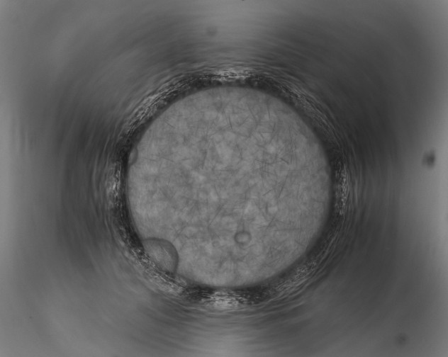 X0000115660608200912031334