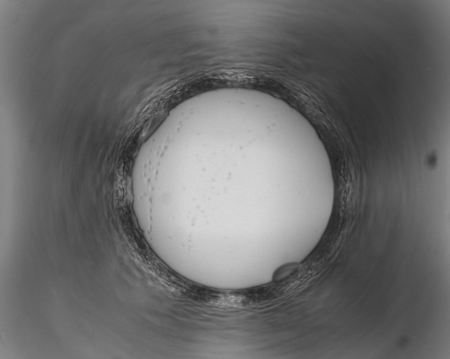 X0000115660609200912031334